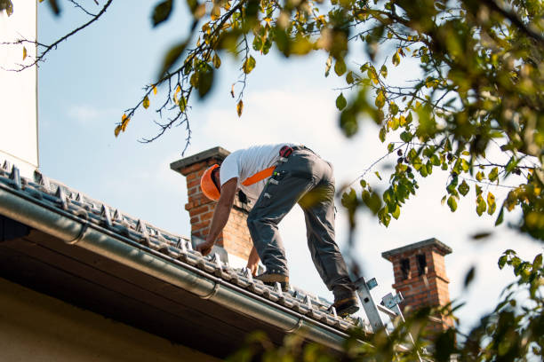 Best Commercial Roofing Services  in Cambridge, WI