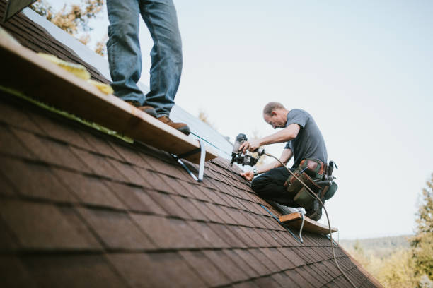 Best Metal Roofing Contractor  in Cambridge, WI
